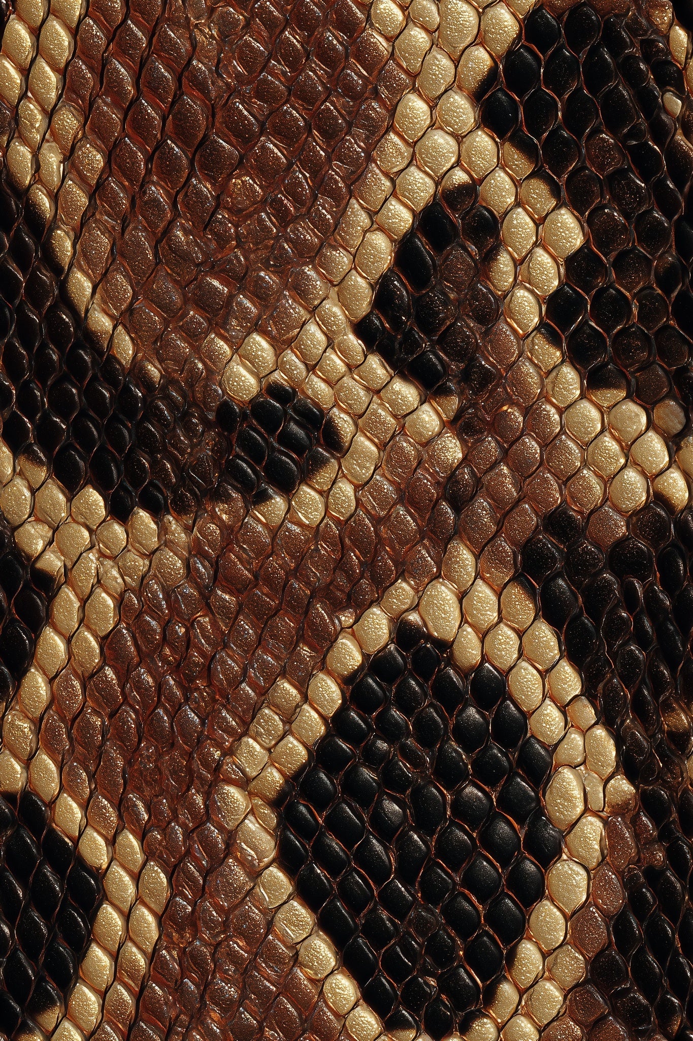 Luxury Snakeskin Wallpaper Brown Python Print Exotic Animal Pattern Accent Wall