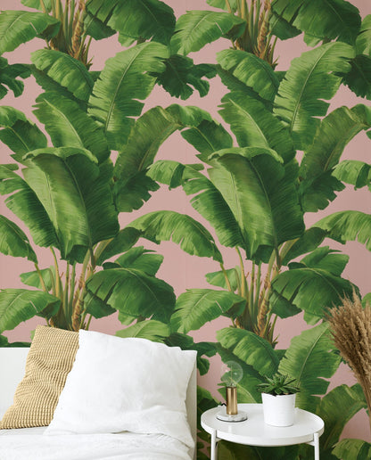 Pink Tropical Banana Leaf Wallpaper | Boho Palm Frond Mural