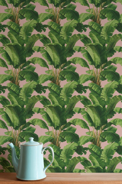 Pink Tropical Banana Leaf Wallpaper | Boho Palm Frond Mural