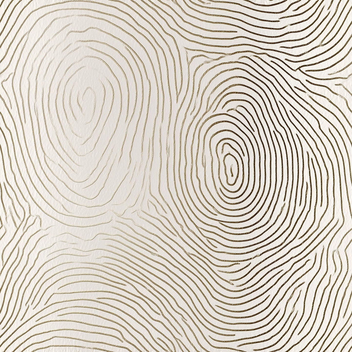 Abstract Wood Grain Wallpaper Gold Topographic Lines Neutral Wall Decor