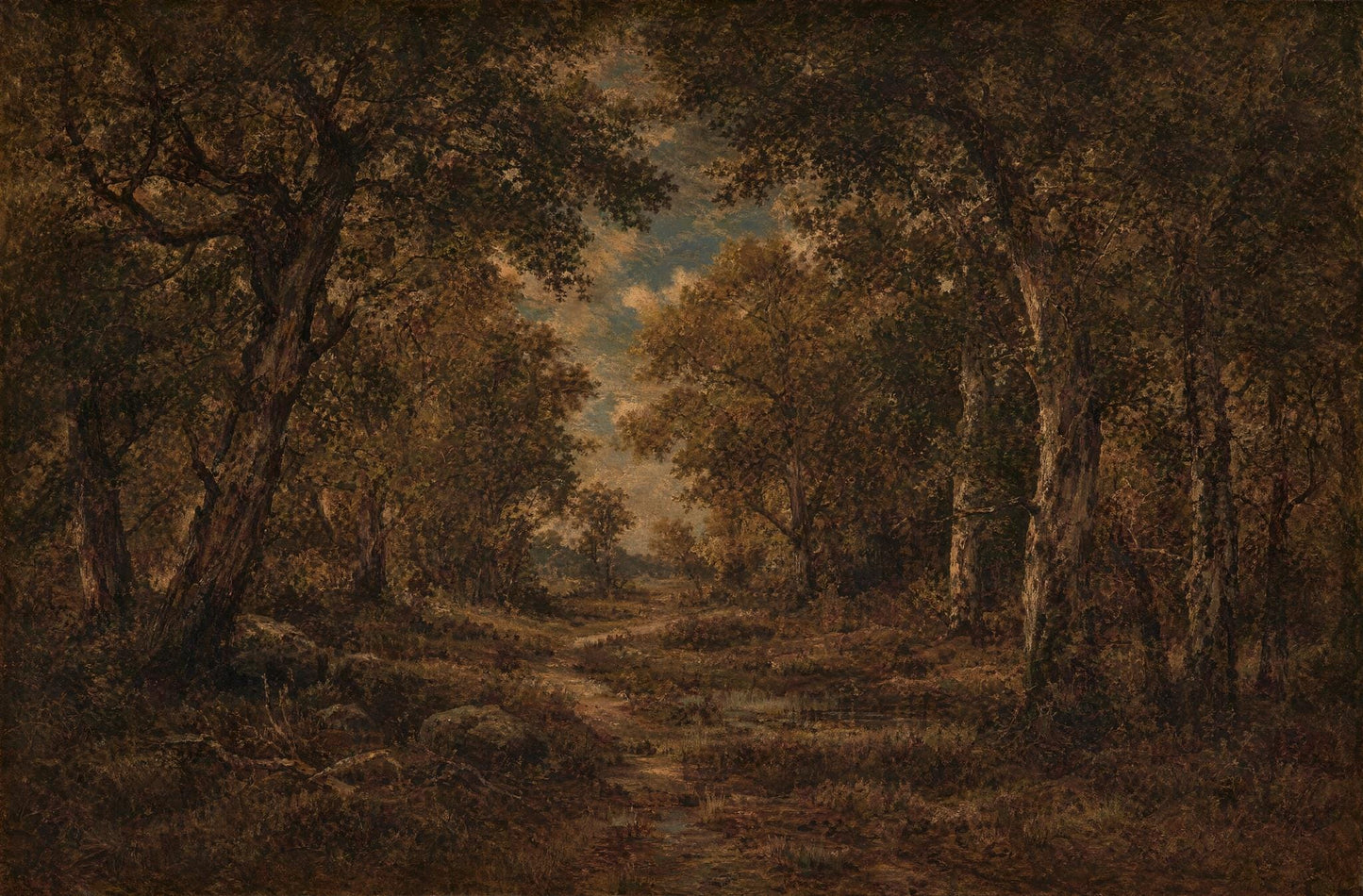 Dark Forest Wallpaper Woodland Landscape Autumn Trees Wall Mural