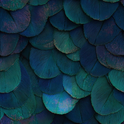 Peacock Feather Wallpaper Jewel Tone Art Deco Luxury Blue Green Textured Wall Decor